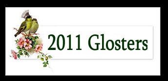 2011glosters.jpg